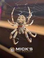 Mick's Spider Control Perth image 8